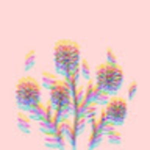 Meet your Posher, Rand